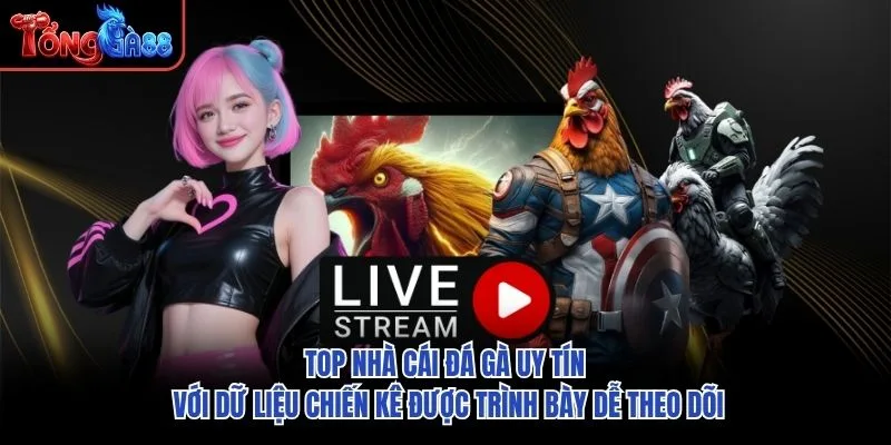 Top nhà cái đá gà uy tín với dữ liệu chiến kê được trình bày dễ theo dõi