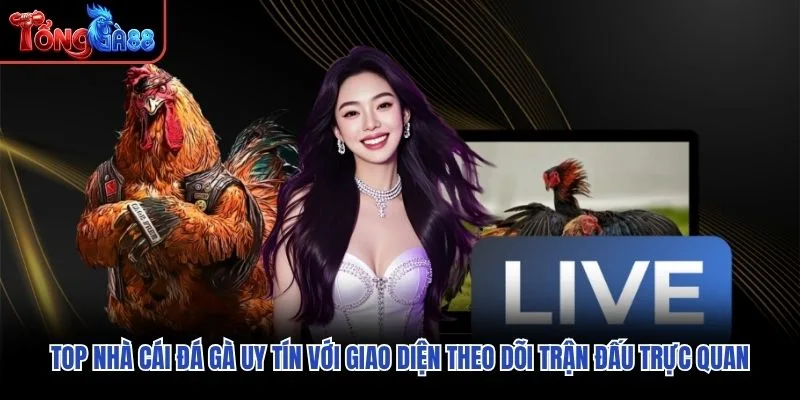 Top nhà cái đá gà uy tín với giao diện theo dõi trận đấu trực quan