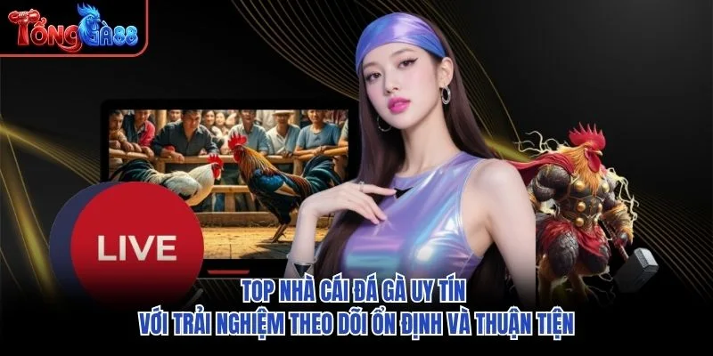 Top nhà cái đá gà uy tín với trải nghiệm theo dõi ổn định và thuận tiện