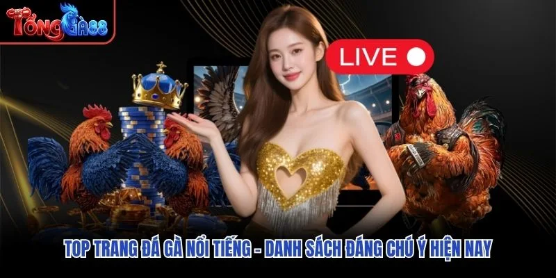 Top Trang Đá Gà Nổi Tiếng – Danh Sách Đáng Chú Ý Hiện Nay