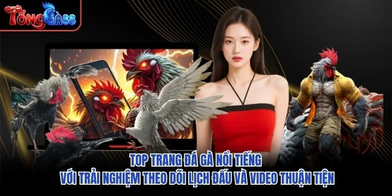Top trang đá gà nổi tiếng với trải nghiệm theo dõi lịch đấu và video thuận tiện