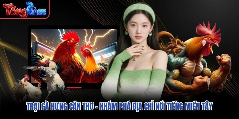Trại Gà Hưng Cần Thơ – Khám Phá Địa Chỉ Nổi Tiếng Miền Tây