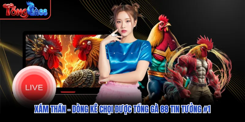 Xám Thần - Dòng Kê Chọi Được Tổng Gà 88 Tin Tưởng #1
